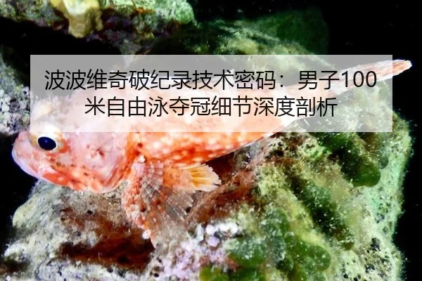 波波维奇破纪录技术密码：男子100米自由泳夺冠细节深度剖析